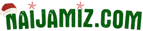 Naijamiz Logo